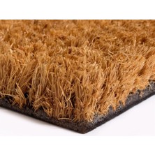 Decovetro Paspas Kalp Home Desenli Kapı Önü Paspası 40 x 60 cm