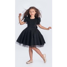 Mnk Baby & Kids Simli Şanzelize Kız Çocuk Abiye Elbise M00669