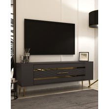 Demonte Home Mobilya RETROLP2DH Tv Sehpası