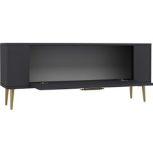 Demonte Home Mobilya RETROLP2DH Tv Sehpası