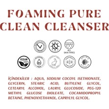 Alnova Foaming Pure Clean Cleanser