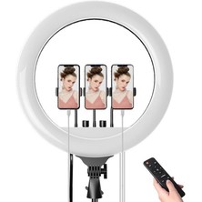 CoverZone 21 inch 53cm Extra Büyük Boy Youtuber LED Işıklı Halka Telefon Tutuculu Uzaktan Kumada Selfie/Yayıncı/Makyaj Işığı 2 Metre Tripod RL21