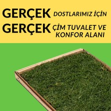 Opati Gerçek Çim Tuvalet Kediler Için