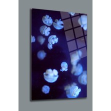 Denizanası Cam Tablo