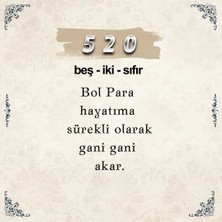 520 Para Sayı Sekansı Anahtarlık M4