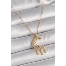Çarşı Point 316l Çelik Gold Renk Zincir Zirkon Taşlı Hilal Model Sallantı Yaprak Detay Kadın Kolye