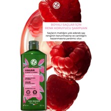 Yves Rocher Boyalı Saçlar Için (couleur) Renk Koruyucu Şampuan - Sülfatsız & Vegan-300 Ml