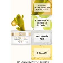 Yves Rocher Anti-age Global - Gençleştirici Ve Yenileyici Gündüz Kremi-50ml