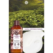 Yves Rocher Nemlendirici Duş Jeli - Aromatik Kahve Çekirdeği - 400ml-79608