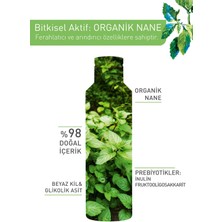 Yves Rocher KarmaYağlı Ciltler Için Pure Menthe Glikolik Asit-prebiyotik Pudralı Tonik