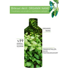 Yves Rocher KarmaYağlı Ciltler Için Pure Menthe Prebiyotik Miseler Su-400 ml