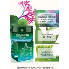 Yves Rocher Gece Kremi - Yaşlanma Karşıtı Bitkisel Antioksidan Bakım / Elixir Botanique-50 Ml-24792