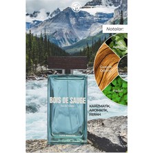 Yves Rocher Bois De Sauge Erkek Edt-100 ml