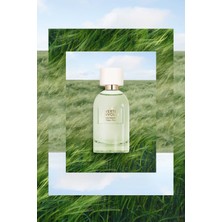 Verte Envolee - Edp - 100 Ml