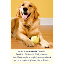Resteril Hiyen Spreyi Pet 1L Kedi Koku Giderici Kedi Yatağı Mama Su Kabı Temizleyici