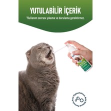 Resterıl Köpek Koku Giderici Köpek Ağız Kokusu Köpek Sağlık Köpek Bakım Pet 750ML - Ağız Diş Bakım Spreyi