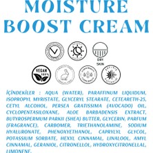 Alnova Moısturızıng Boost Cream