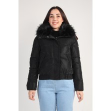 250010 Mont