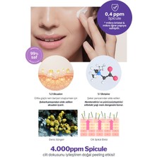 Cilt Yenileyici Iğne Yapılı Spikül ve Bakuchiol Krem Derma Factory %0.4 Spicule Cream