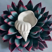 Deniz Kabuğu Model Dekorasyon, Beyaz/mermer Desenli Dekor Ürünü 24 cm Biyoplastik