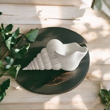 Deniz Kabuğu Model Dekorasyon, Beyaz/mermer Desenli Dekor Ürünü 24 cm Biyoplastik