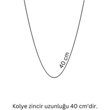 Pınkmark Kadın Gümüş Üçlü Halka Chokker Kolye 40CM PMKL25618
