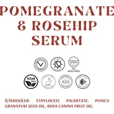 Alnova Pomegranate & Rosehıp Serum