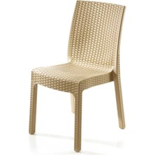 Ziynet Home 4 Kişilik 70 x 120  cm  Rattan Masa Takımı Camlı  Kolsuz Sandalye Bahçe Teras Takımı Oturma Grubu