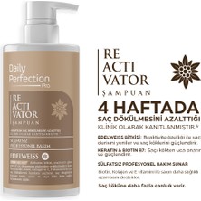 Daily Perfection Pro Reactivator Şampuan 450 ml