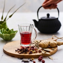 Lav Venüs 6'lı Kulplu Çay Bardağı