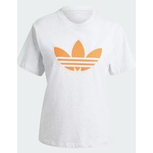 Adidas Originals Pearl Trefoil Kadın Gri T-Shirt