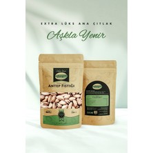 Antep Fıstığı (Kabuklu-Kavrulmuş) Extra Lüks Ana Çıtlak 225 Gram, 3'lü Paket