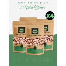 Antep Fıstığı (Kabuklu-Kavrulmuş) Extra Lüks Ana Çıtlak 225 Gram, 4'lü Paket