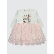 Welkin Kız Bebek Elbise 6-18 Ay Yavruağzı