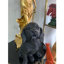 Mirsa Global Dekorarif Köpek Heykeli Biblo