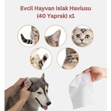 CrossBorder Decor Evcil Hayvan Bakım Seti: Evcil Hayvan Islak Havlusu +Tüyü Temizleme Rulosu + Kedi Köpek Mama Kabı