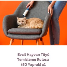 CrossBorder Decor Evcil Hayvan Bakım Seti: Evcil Hayvan Islak Havlusu +Tüyü Temizleme Rulosu + Kedi Köpek Mama Kabı