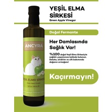 Ancyra Yeşil Elma Sirkesi Doğal Fermante 500 ml