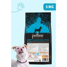 Petline Pretty Salmon Selection Somonlu Düşük Tahıllı Yavru Köpek Maması 3 kg