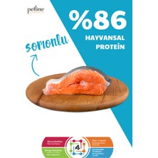 Petline Pretty Salmon Selection Somonlu Düşük Tahıllı Yavru Köpek Maması 3 kg