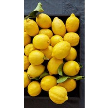 Doğallığın Zirvesinden Yöresel Köyceğiz Limonu 2 kg