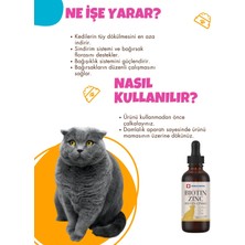 World Royal Kediler Için Tüy Dökümü Engelleyici Tüy Sağlığı Damla Biotin-Çinko 100 Ml.