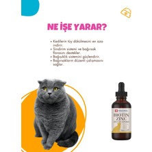 World Royal Kediler Için Tüy Dökümü Engelleyici Tüy Sağlığı Damla Biotin-Çinko 100 Ml.