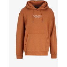Jack&jones Jprbluarchie Sweat Hood Noos