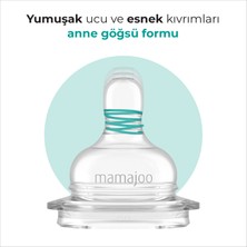 Mamajoo Gece & Gündüz Anti-Kolik Biberon 160 ml, Yenidoğan Bebek, 0 Ay+, Yavaş Akışlı