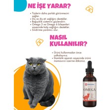 World Royal Kediler Için Omega 3 ve Omega 6 Takviyeli Multivitamin Damla 100 Ml.