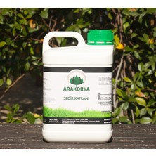 Arakorya Sedir Katranı 5 kg