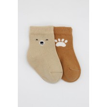 Bistyle Bear Penye Soket Çorap 2'li BS10116 Bej
