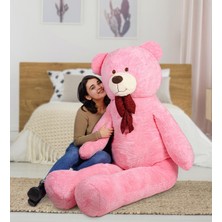 Pababo 200 cm Sevimli Büyük Ayıcık