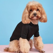 Baskılı Köpek ve Kedi Sweatshirt